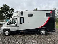 2019 fiat carroceria ameline ducato 35h 2.3 multijet paardenwagen 2 paards - afbeelding 60 van  60