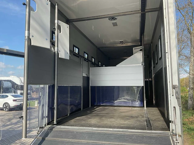2019 scania p250 paardenvrachtwagen - afbeelding 3 van  38