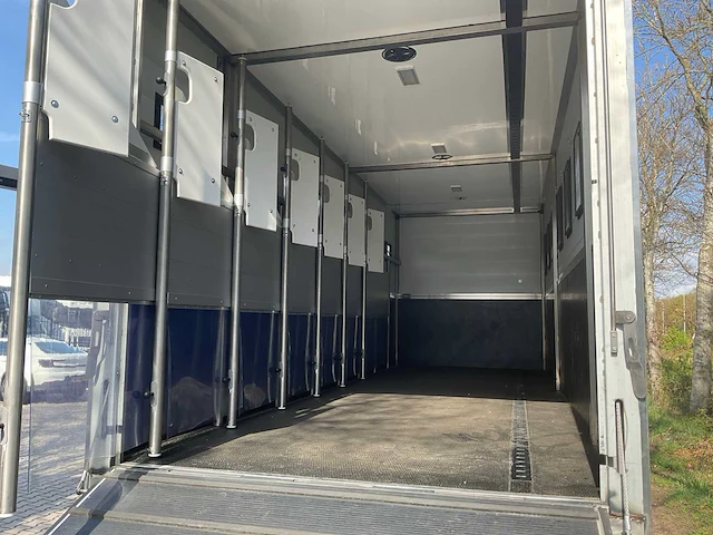 2019 scania p250 paardenvrachtwagen - afbeelding 4 van  38