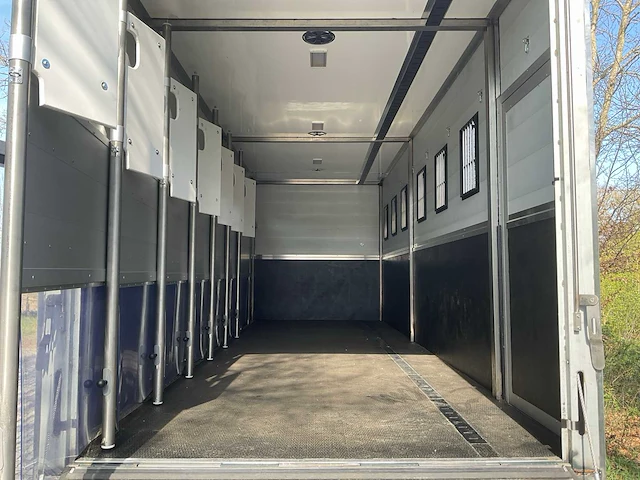 2019 scania p250 paardenvrachtwagen - afbeelding 5 van  38