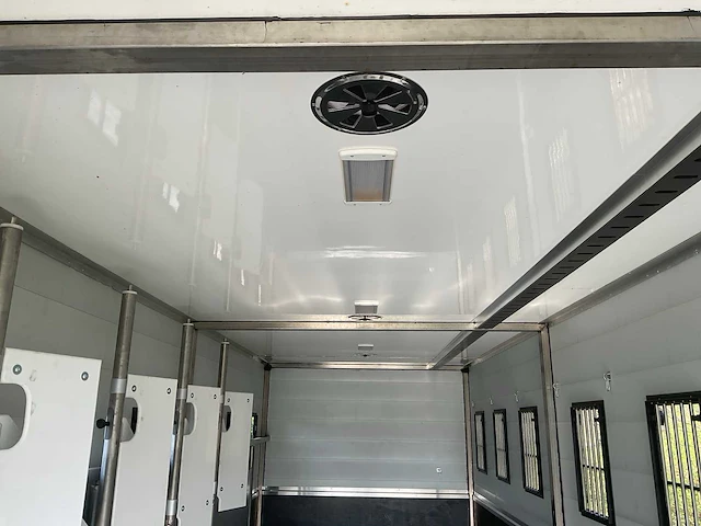 2019 scania p250 paardenvrachtwagen - afbeelding 7 van  38
