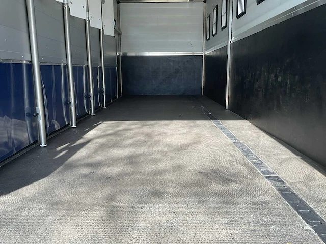 2019 scania p250 paardenvrachtwagen - afbeelding 8 van  38
