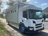 2019 scania p250 paardenvrachtwagen