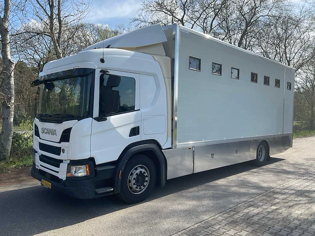 2019 scania p250 paardenvrachtwagen - afbeelding 12 van  38
