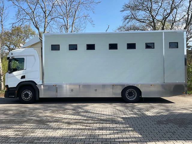 2019 scania p250 paardenvrachtwagen - afbeelding 23 van  38