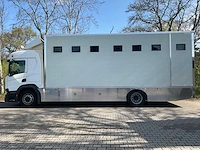 2019 scania p250 paardenvrachtwagen - afbeelding 23 van  38
