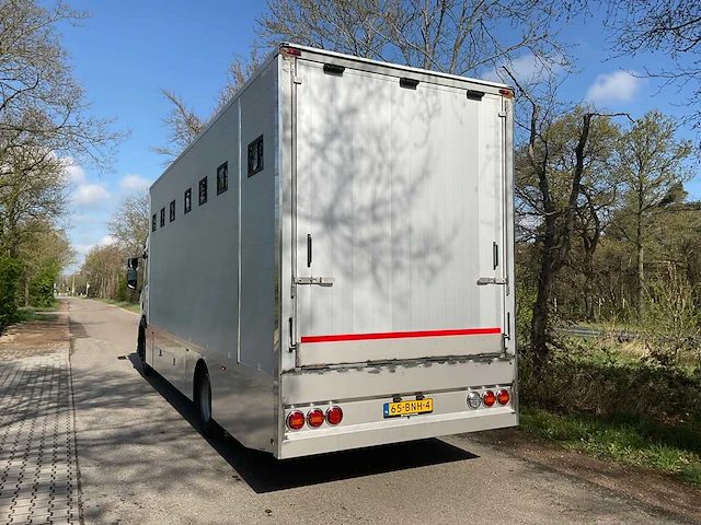 2019 scania p250 paardenvrachtwagen - afbeelding 33 van  38