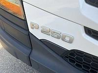 2019 scania p250 paardenvrachtwagen - afbeelding 36 van  38