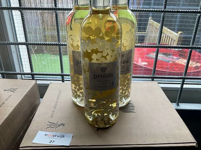 2020 - chenin blanc (39x) - afbeelding 1 van  3