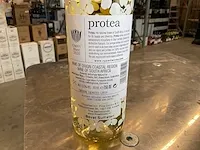 2020 - chenin blanc (39x) - afbeelding 2 van  3