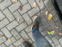 2020 new holland e 19 c minigraafmachine - afbeelding 8 van  18