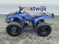 2020 yamaha grizzly 350 quad - afbeelding 12 van  25