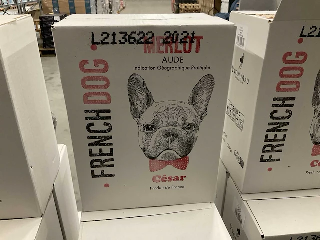2021 french dog rode wijn (54x) - afbeelding 3 van  4