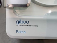 2021 gibco cts rotea counterflow centrifuge - afbeelding 8 van  10