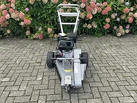 2021 jansen bsf 13 stobbenfrees - afbeelding 9 van  16