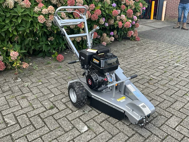 2021 jansen bsf 13 stobbenfrees - afbeelding 10 van  16