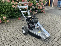 2021 jansen bsf 13 stobbenfrees - afbeelding 10 van  16