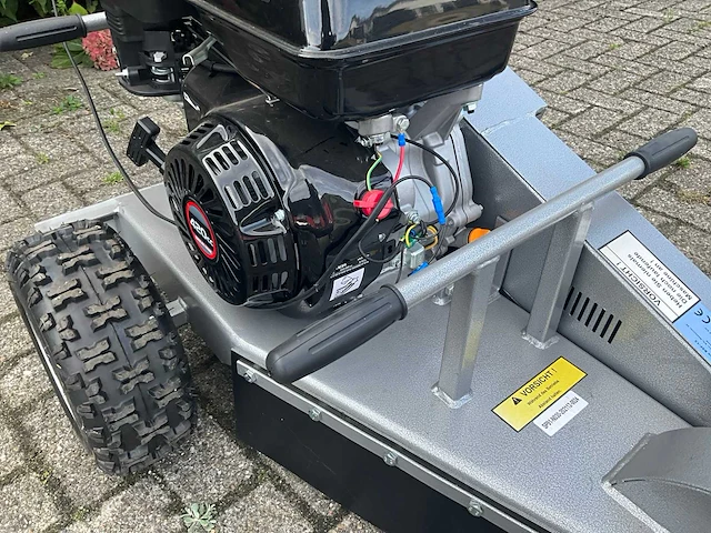 2021 jansen bsf 13 stobbenfrees - afbeelding 6 van  16