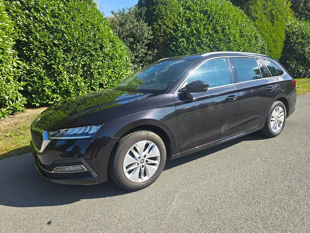 2021 skoda octavia combi 1.0 personenauto - afbeelding 11 van  80