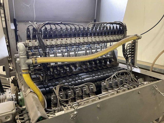 2021 tumubo s.u.2-cam automatische schoningslijn voor spruiten - afbeelding 14 van  34