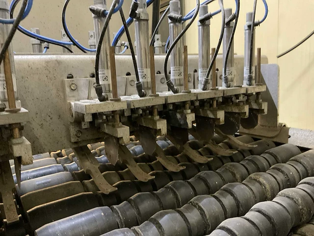 2021 tumubo s.u.2-cam automatische schoningslijn voor spruiten - afbeelding 17 van  34