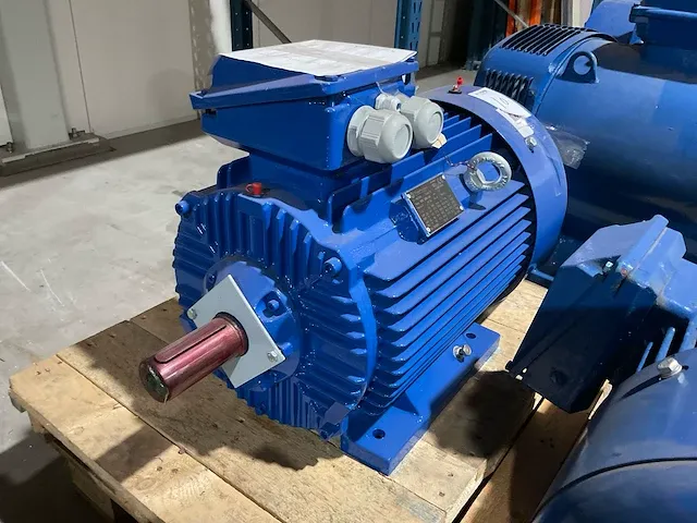 2021 visser 3sie 200l-2b elektromotor - afbeelding 2 van  5