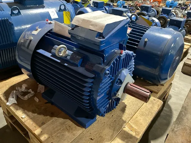 2021 visser 3sie 200l-2b elektromotor - afbeelding 3 van  5