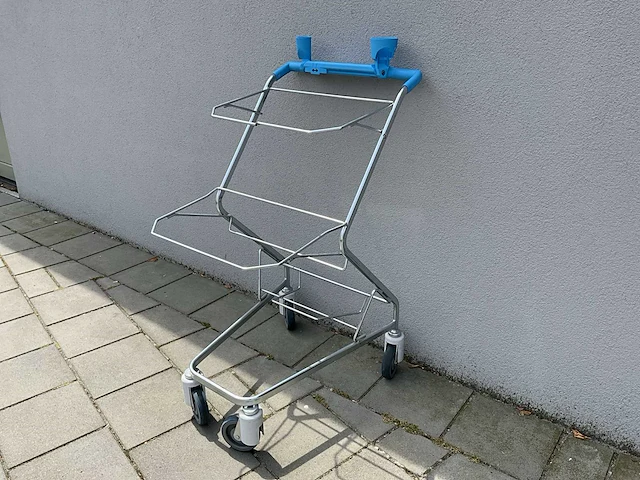 2021 wanzl winkelwagen (115x) - afbeelding 5 van  12