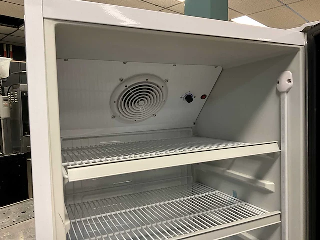 2021 zorro gtk 310 glasdeur koelkast - afbeelding 4 van  6