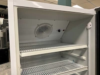 2021 zorro gtk 310 glasdeur koelkast - afbeelding 4 van  6