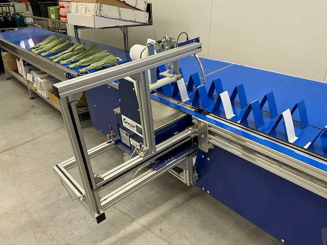 2022 jamafa machinery fl800-bsbib-vb4-rl bloemen verpakkingsmachine - afbeelding 4 van  25