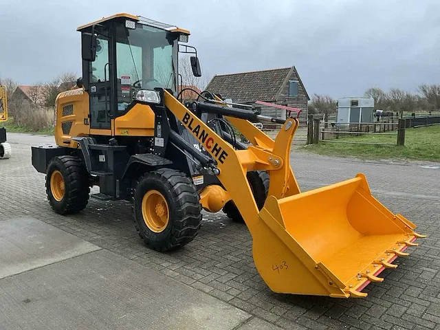 2023 blanche tw36 shovel - afbeelding 12 van  20