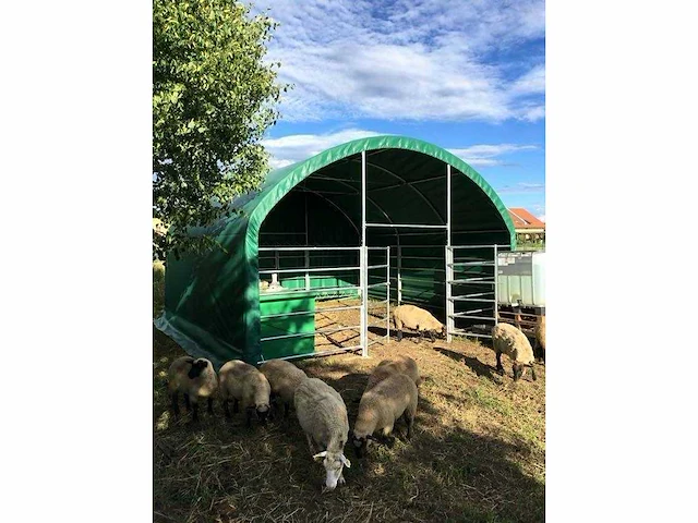 2024 - easy-going - (4x4x3,15 meter) - dierenverblijf / shelter 4 meter - afbeelding 6 van  13