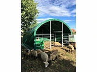 2024 - easy-going - (4x4x3,15 meter) - dierenverblijf / shelter 4 meter - afbeelding 6 van  13
