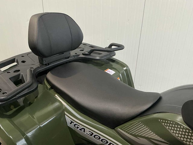 2024 - tao motors - tga 300f 4x2 atv - quad (ongebruikt) - afbeelding 16 van  18