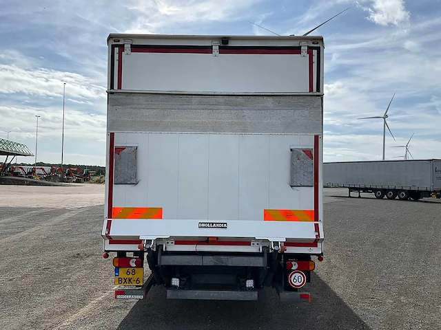 2024 daf lf230 4x2 euro6 vrachtwagen met saxas opbouw - afbeelding 34 van  45