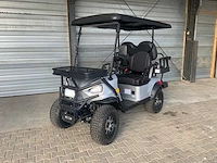 2024 kandi m1204 golfkar - afbeelding 1 van  29