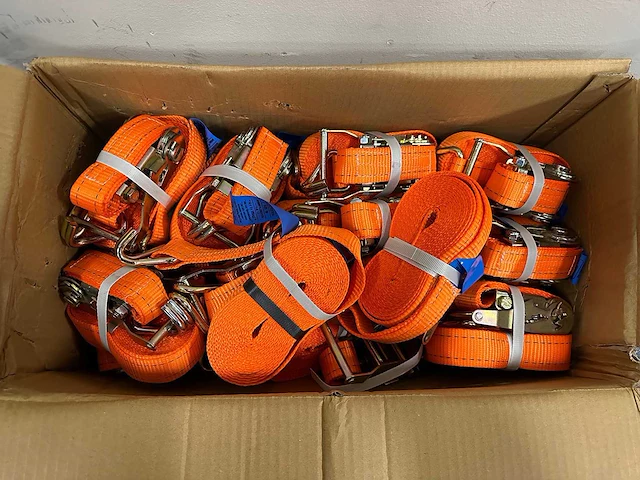 2024 loadlok 6 meter 2 ton spanbanden (10x) - afbeelding 1 van  5