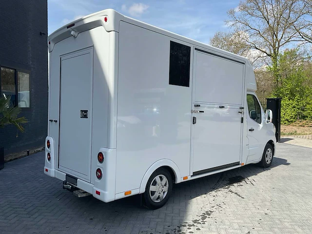 2024 renault master paardenvrachtwagen - afbeelding 23 van  30