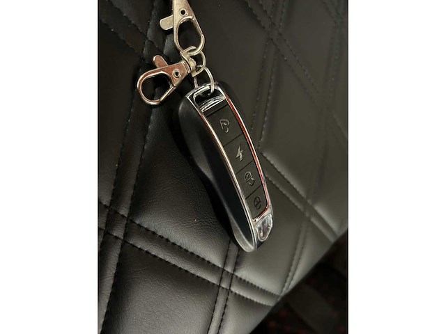 2024 rte golfkar - afbeelding 29 van  29