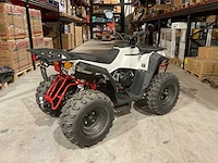 2024 ultra motocross commander 200 quad met kenteken wit - afbeelding 25 van  25