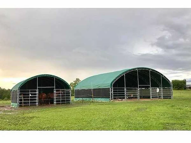 2025 - easy-going - (10x10x4,5 meter) - dierenverblijf / shelter 10 meter - afbeelding 10 van  15
