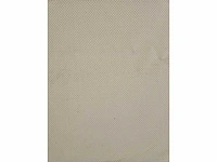 2025 folietunnel gegalvaniseerd (12,00x20,00 mtr) (240m²) - afbeelding 13 van  20