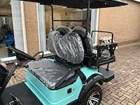 2025 newrick new-g4.0 golfkar - afbeelding 3 van  17