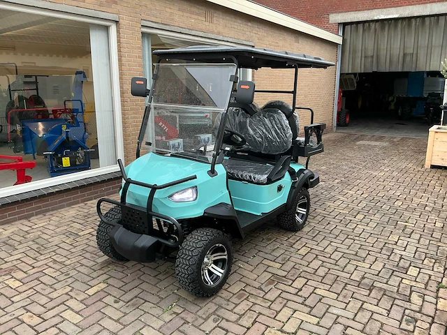 2025 newrick new-g4.0 golfkar - afbeelding 1 van  17
