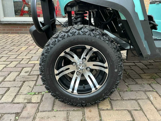 2025 newrick new-g4.0 golfkar - afbeelding 16 van  17