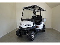 2025 ox zg2l golfkar optioneel met kenteken - afbeelding 1 van  5