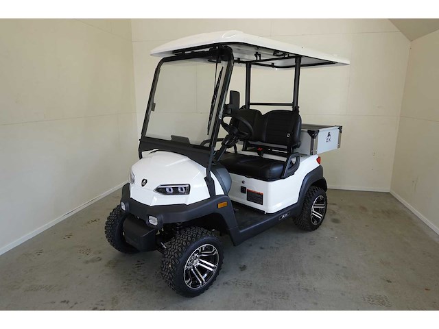 2025 ox zg2l golfkar optioneel met kenteken - afbeelding 4 van  5