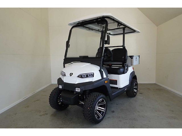 2025 ox zg2l golfkar optioneel met kenteken - afbeelding 1 van  5