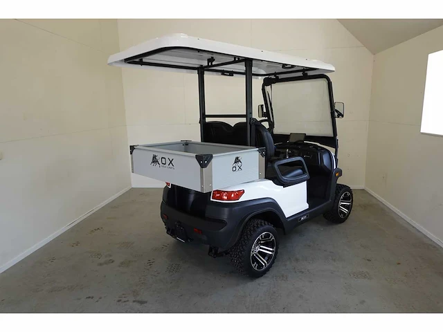 2025 ox zg2l golfkar - afbeelding 2 van  5